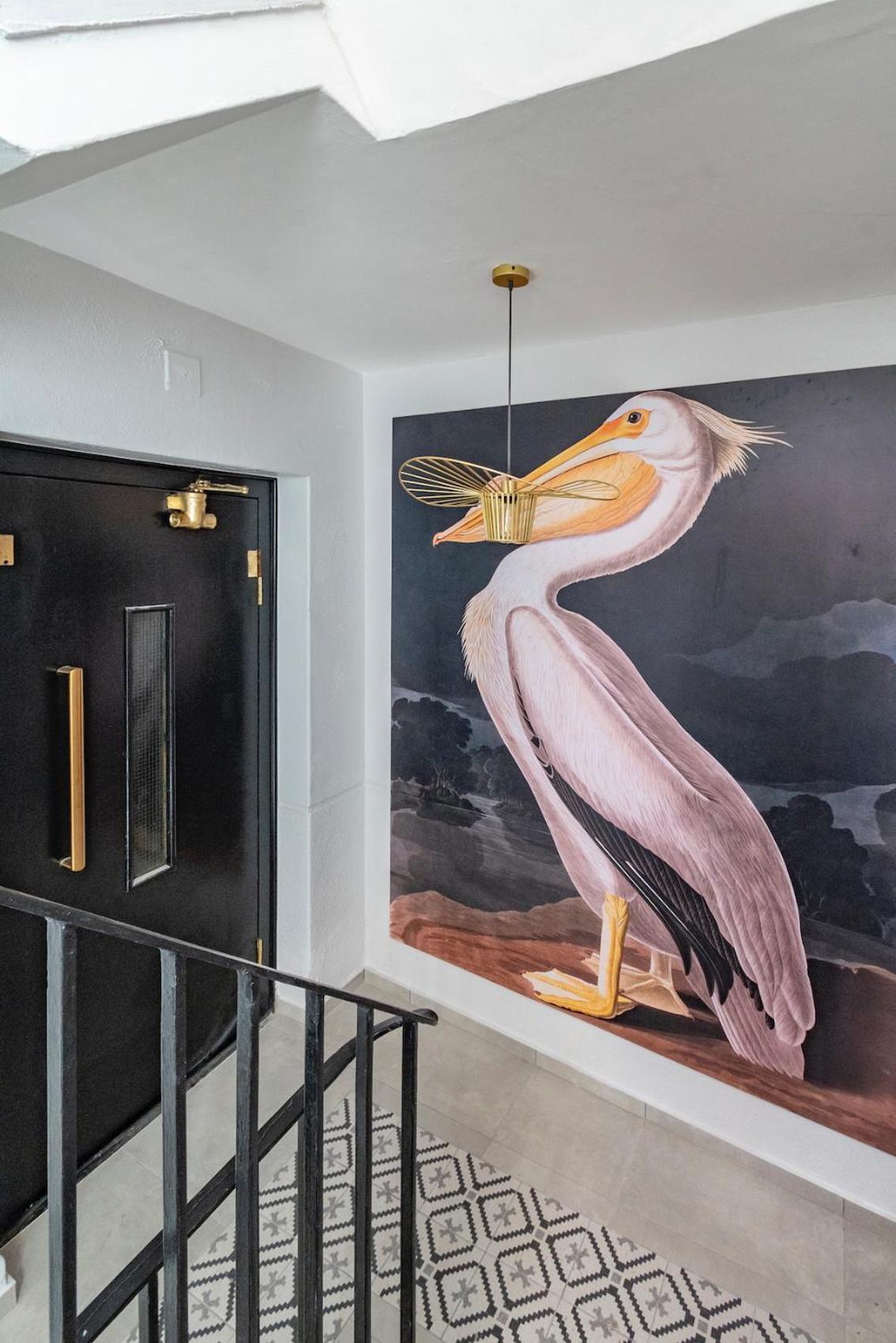 Flamingo On Hope *