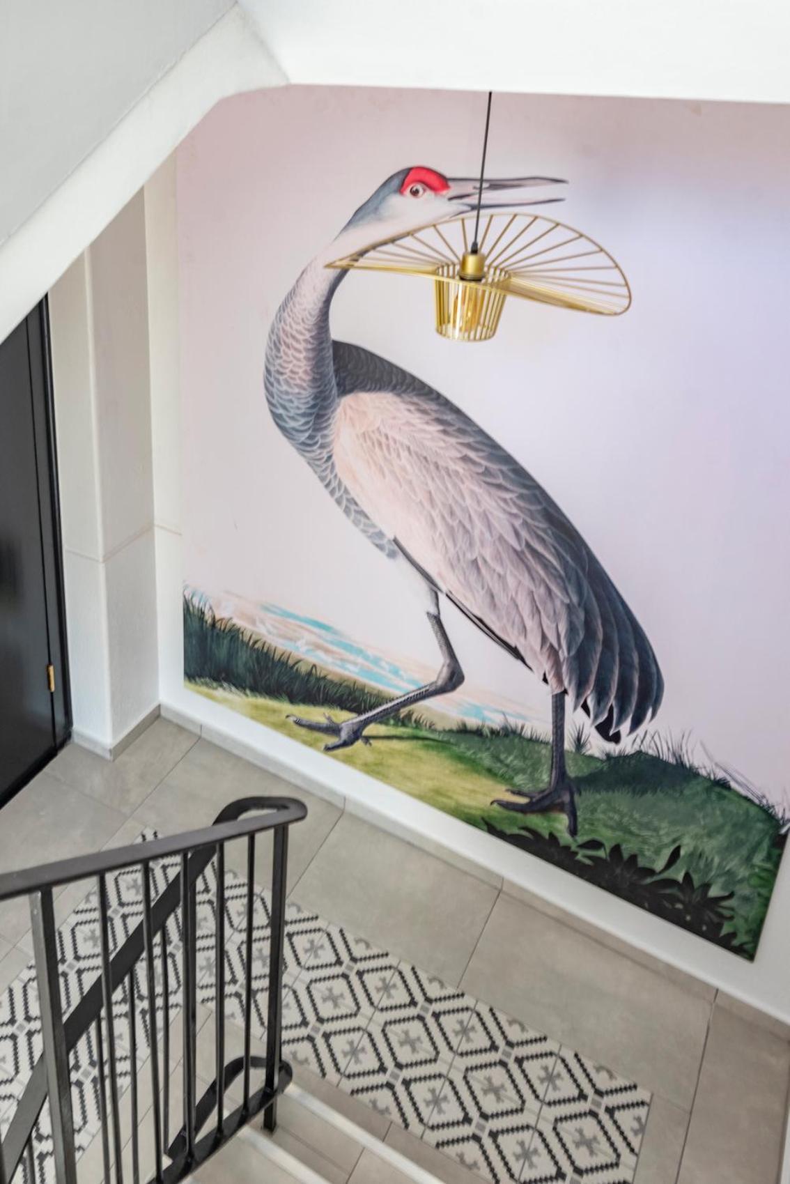 Flamingo On Hope Cape Town