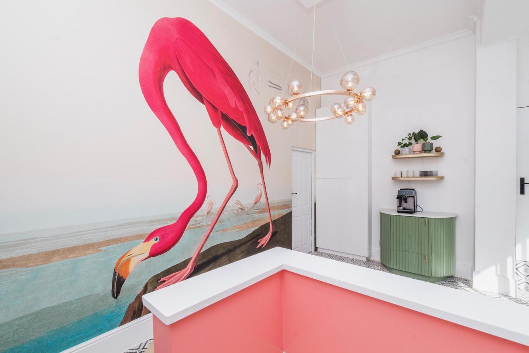 Flamingo On Hope