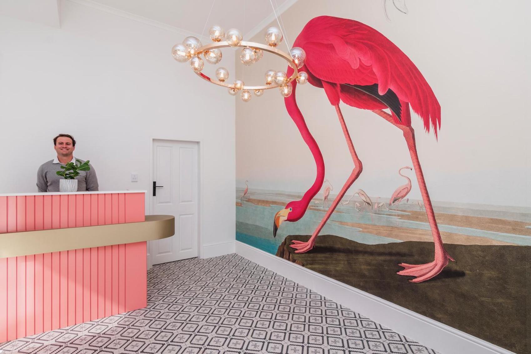 Flamingo On Hope